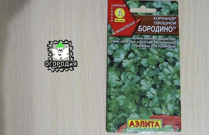 Bag koriandri seemned köögiviljade Borodino