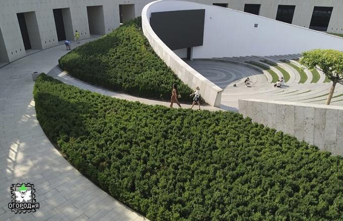 Amfiteater raamitud bush