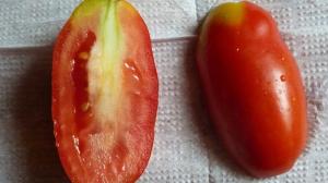 Miks tomatid valge ja jäik seredinka.