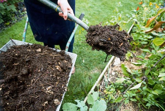 Nõelad kompost | Aiandus ja aianduse