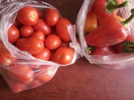 Lazy toorikust segu kahest korda tomatid. Sool, äädikas ei nõuta
