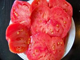 8 ebatavaline ja maitsev sorte tomatid