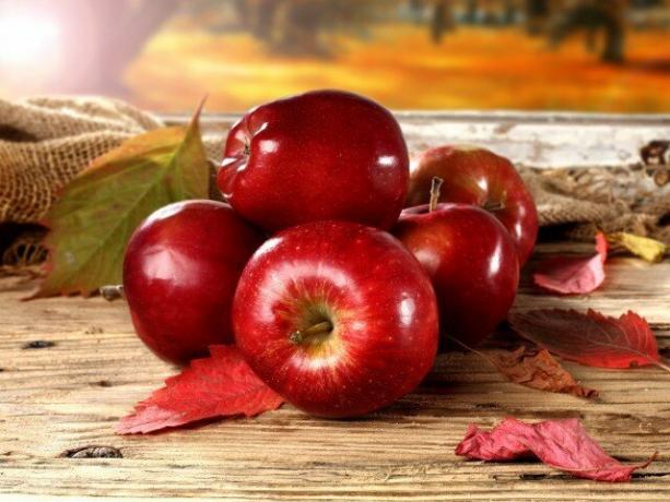 Mis kasu on õuntest ja kas need võivad kehale kahjustada