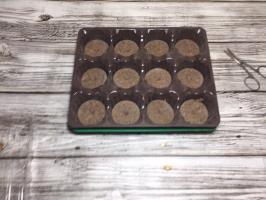 Ülevaade kasvuhoones seemikud turbaga tablettidest FixPrice juures 55 rubla. Fotod + minu esimene saavutused