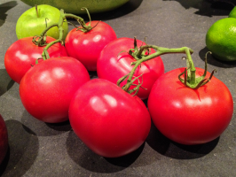 7 parimat tomati kääbus sordid (väljas)