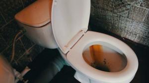 Kuidas kiiresti ja lihtsalt puhastada WC rooste ja kollane tahvel?