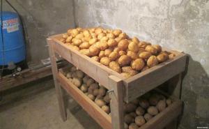 Kuidas kartuleid korteri ja maja