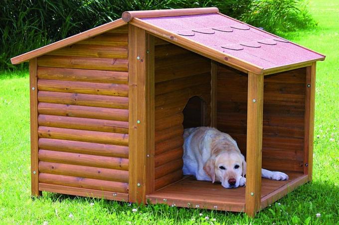 Viilkatusega ehitamiseks kabiinid koertele