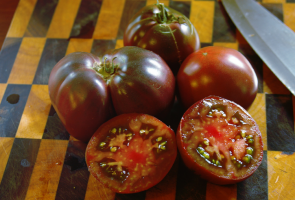 5 sorte maitsev tomatid lilla märgib