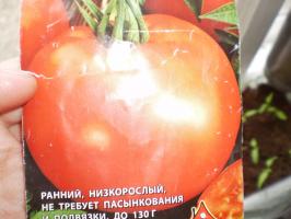 Emis varajane valmimine tomatid aprilli alguses. 7 populaarsem sordid