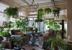 Nagu originaal ja maitsekalt kaunistada oma maja taimed, muutes interjööri toad unustamatu. 6 disaini ideid